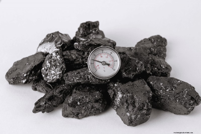 Composting Benefits: 25 Reasons to Start Today | Soil Health & Garden Tips