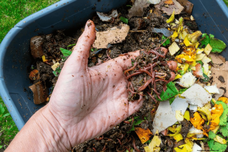 Composting Benefits: 25 Reasons to Start Today | Soil Health & Garden Tips