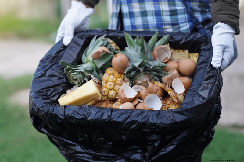 Composting Benefits: 25 Reasons to Start Today | Soil Health & Garden Tips