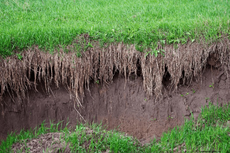 Composting Benefits: 25 Reasons to Start Today | Soil Health & Garden Tips