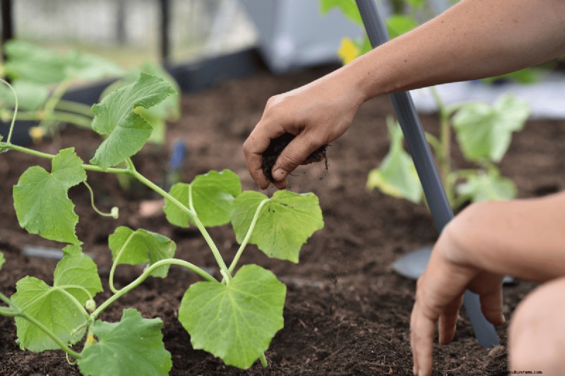Composting Benefits: 25 Reasons to Start Today | Soil Health & Garden Tips