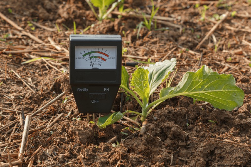 Composting Benefits: 25 Reasons to Start Today | Soil Health & Garden Tips