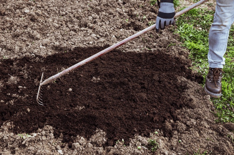 Composting Benefits: 25 Reasons to Start Today | Soil Health & Garden Tips