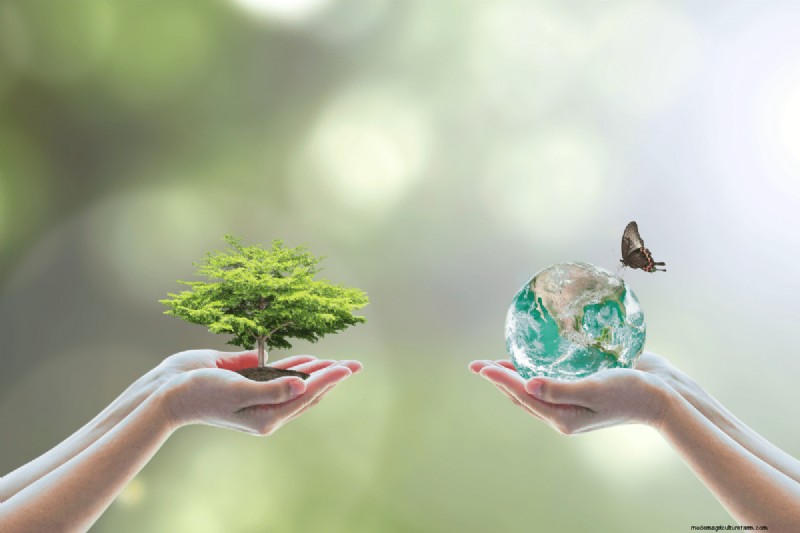 Composting Benefits: 25 Reasons to Start Today | Soil Health & Garden Tips
