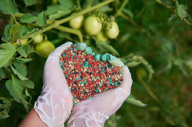 Composting Benefits: 25 Reasons to Start Today | Soil Health & Garden Tips