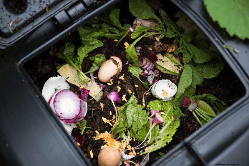 Composting Benefits: 25 Reasons to Start Today | Soil Health & Garden Tips