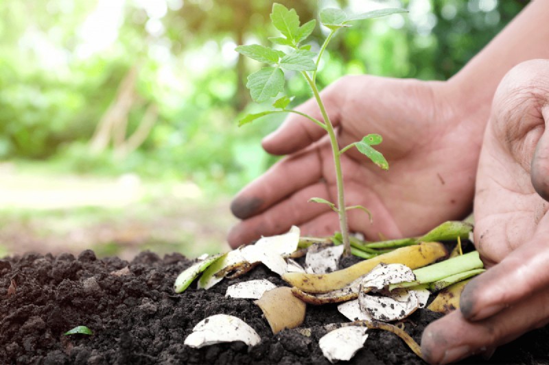 Composting Benefits: 25 Reasons to Start Today | Soil Health & Garden Tips