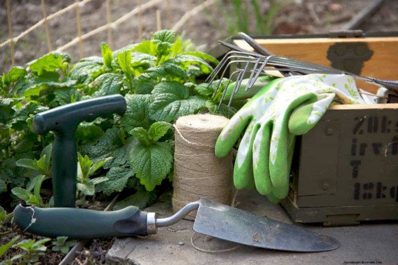 Understanding Fertilizer: A Guide to Healthy Garden Growth