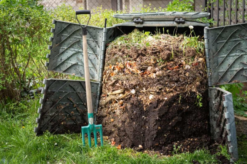Understanding Fertilizer: A Guide to Healthy Garden Growth