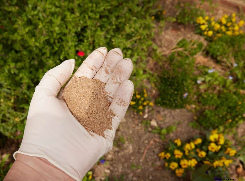 Understanding Fertilizer: A Guide to Healthy Garden Growth