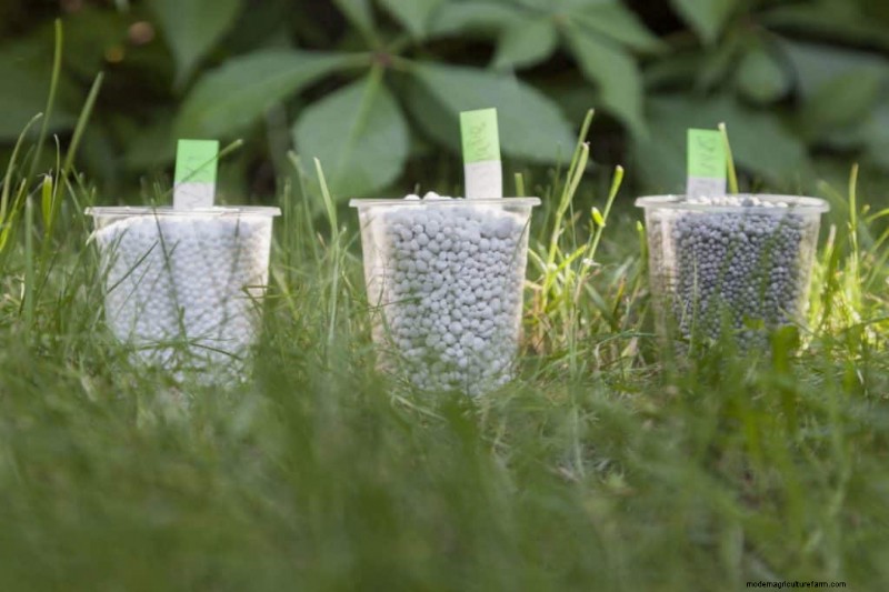 Understanding Fertilizer: A Guide to Healthy Garden Growth