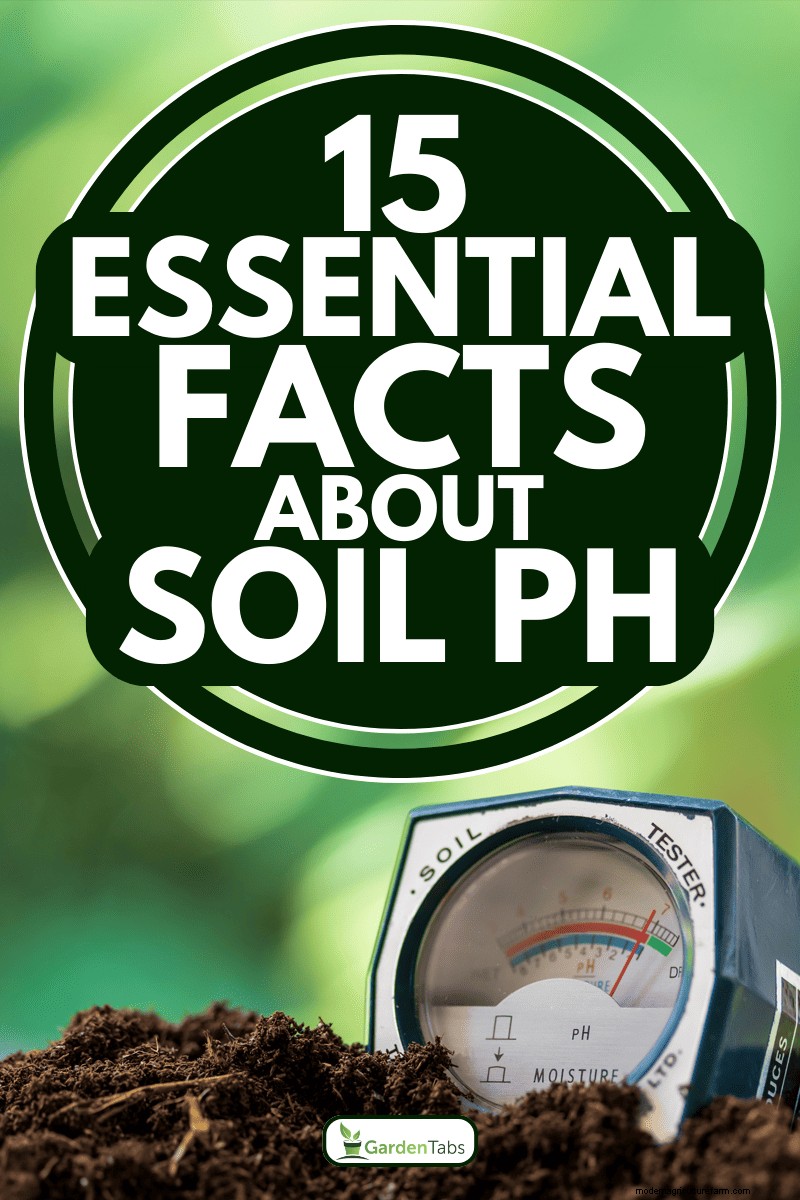 Soil pH: The Ultimate Guide to Optimal Garden Health