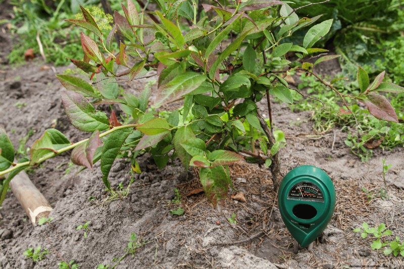 Soil pH: The Ultimate Guide to Optimal Garden Health