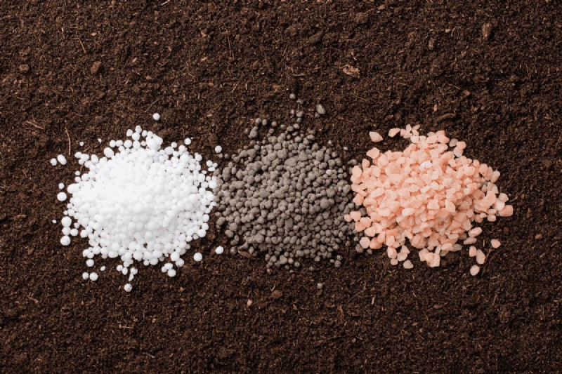Soil pH: The Ultimate Guide to Optimal Garden Health