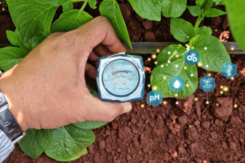 Soil pH: The Ultimate Guide to Optimal Garden Health