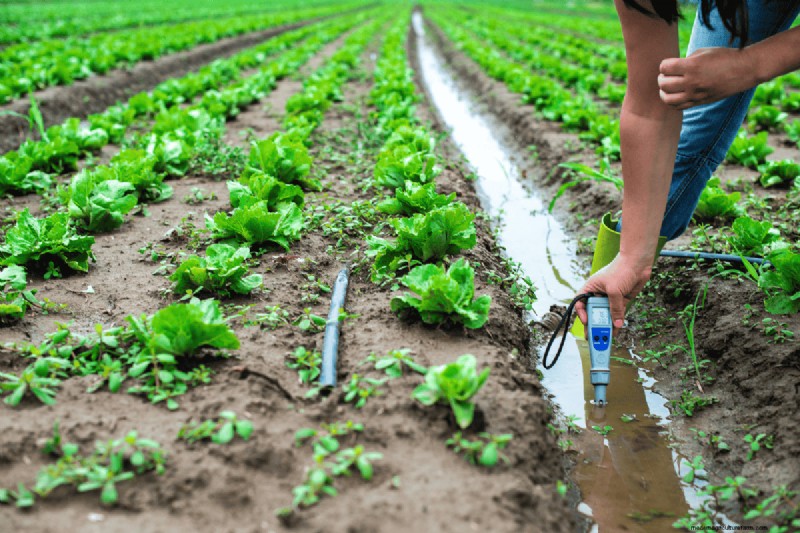 Soil pH: The Ultimate Guide to Optimal Garden Health