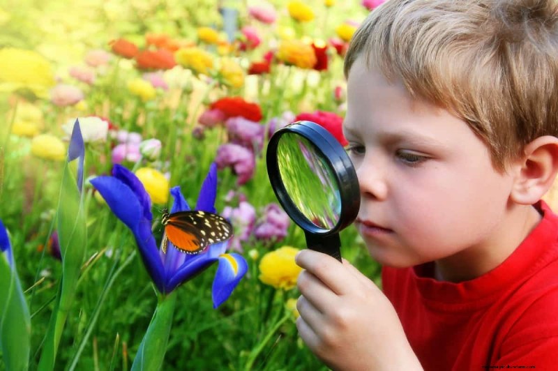 15 Fun Ways to Inspire a Lifelong Love of Gardening in Kids