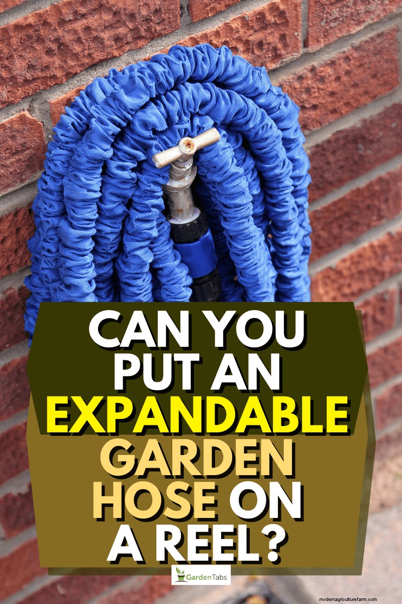 Expandable Hose Reels: Can You Use a Reel with an Expandable Garden Hose?