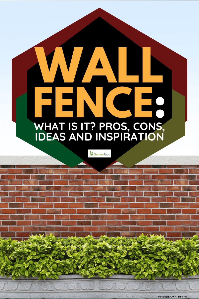 Wall Fences: Design, Benefits & Installation Guide