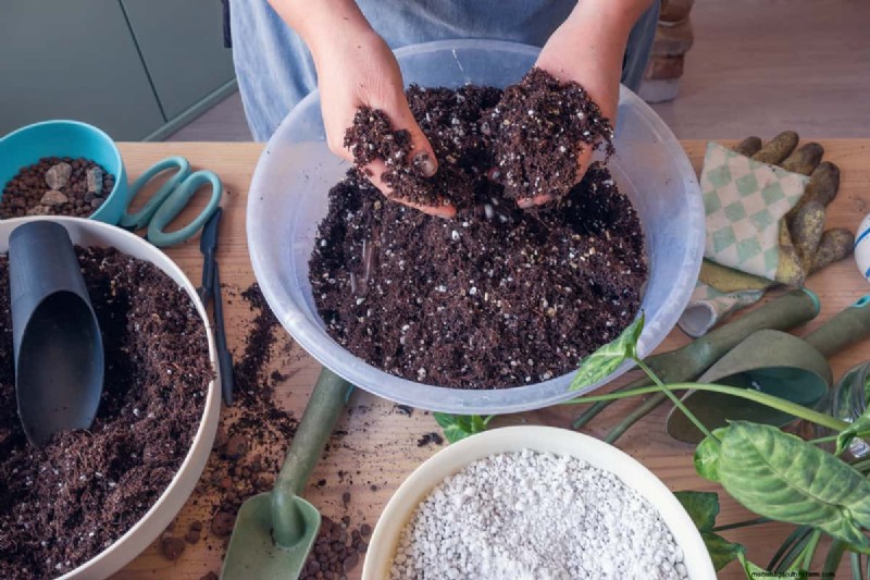 Mittleider Method Gardening: Benefits, Drawbacks & Is It Right For You?