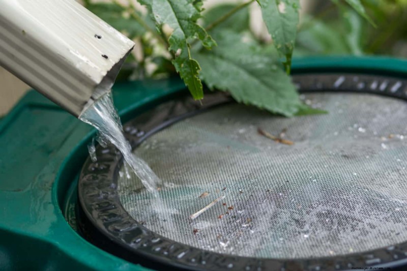 Rain Barrels: Water Conservation & Garden Benefits | [Your Brand/Site Name]