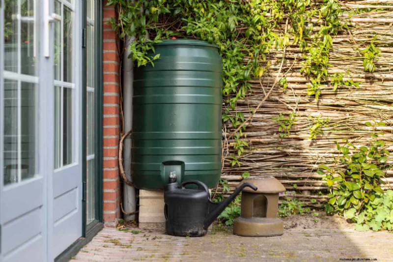 Rain Barrels: Water Conservation & Garden Benefits | [Your Brand/Site Name]