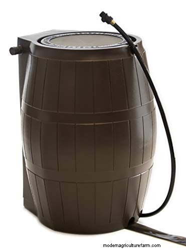 Rain Barrels: Water Conservation & Garden Benefits | [Your Brand/Site Name]