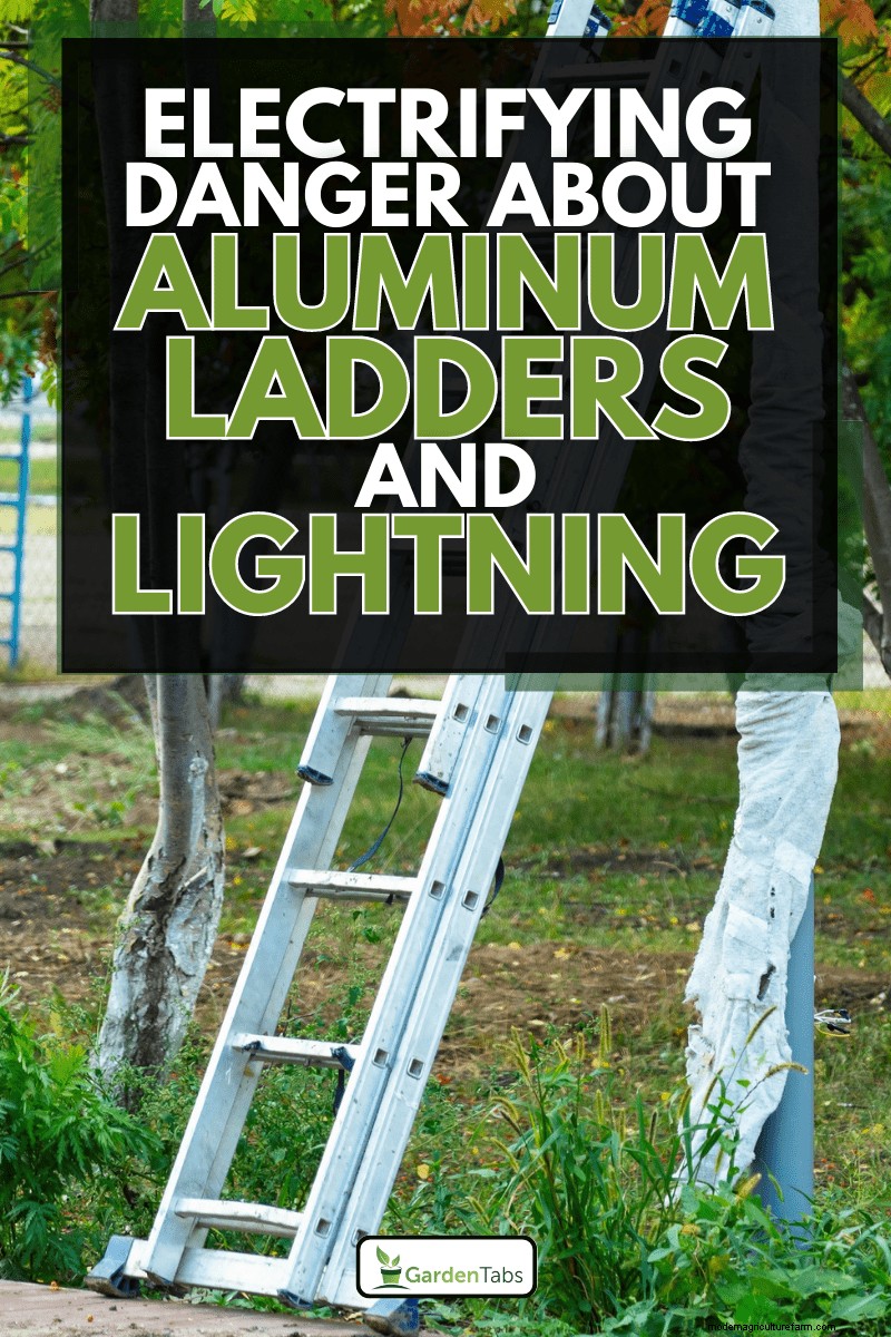 Aluminum Ladders and Lightning Safety: Risks & Precautions
