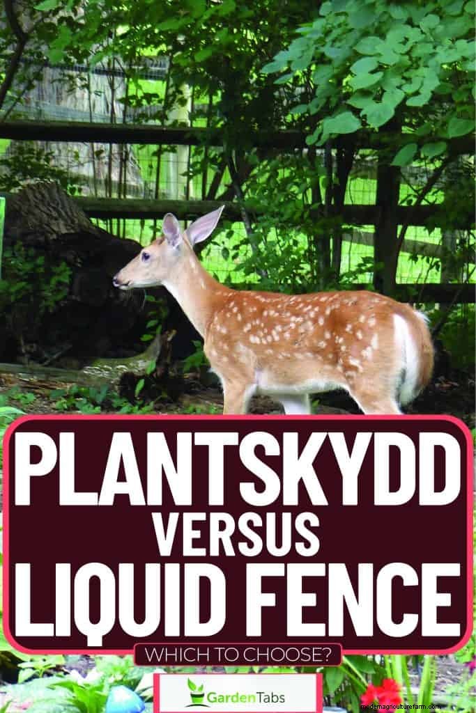 Plantskydd vs. Liquid Fence: A Comprehensive Comparison for Garden Protection