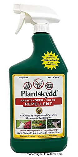 Plantskydd vs. Liquid Fence: A Comprehensive Comparison for Garden Protection