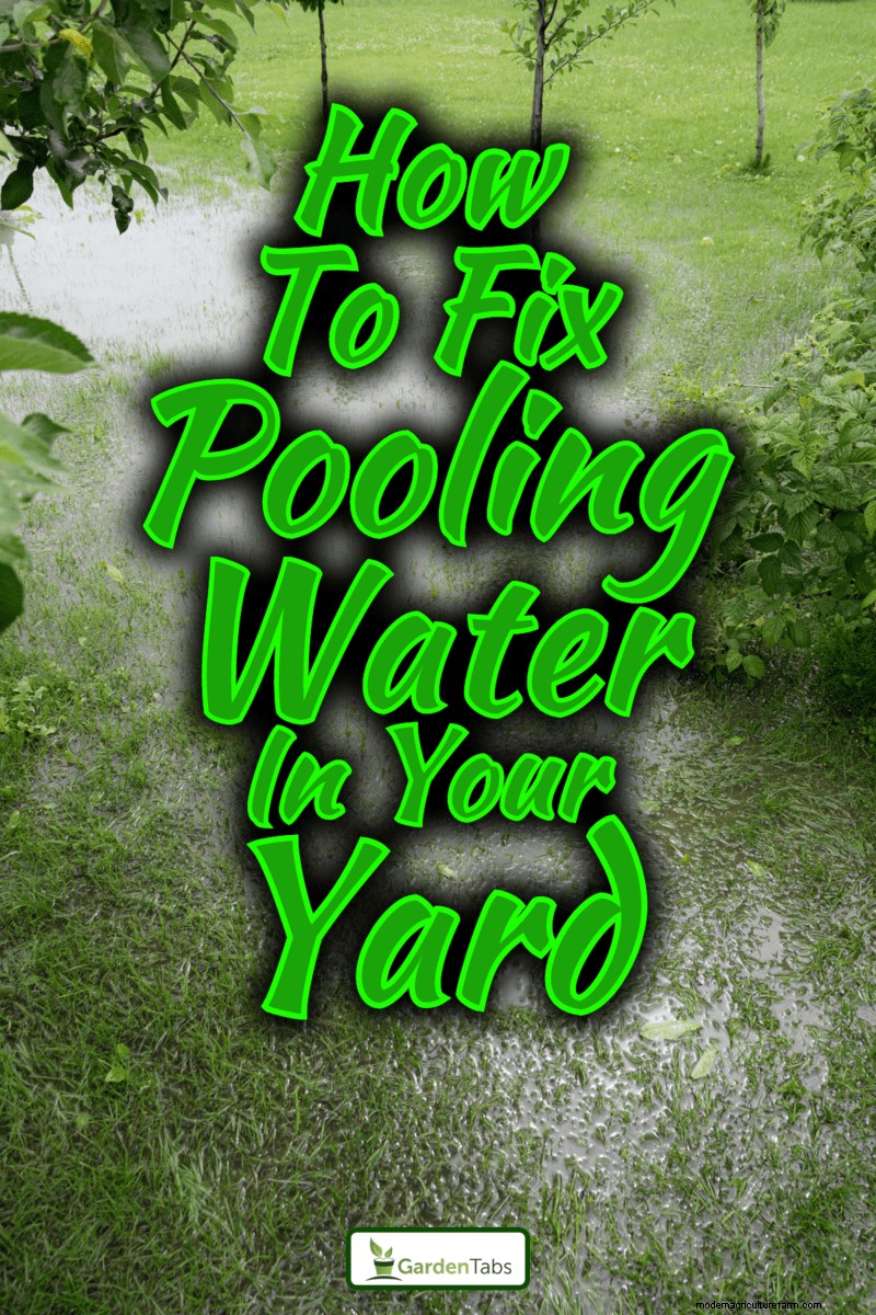 Eliminate Yard Pooling Water: Causes & Solutions