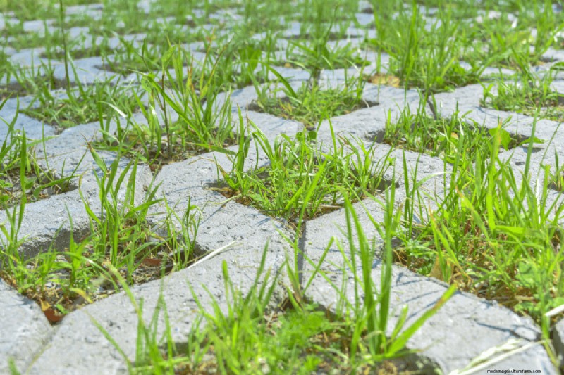Eliminate Yard Pooling Water: Causes & Solutions
