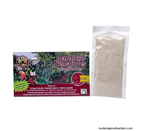 Vine Weevil Grub Control: Proven Methods for Garden Protection