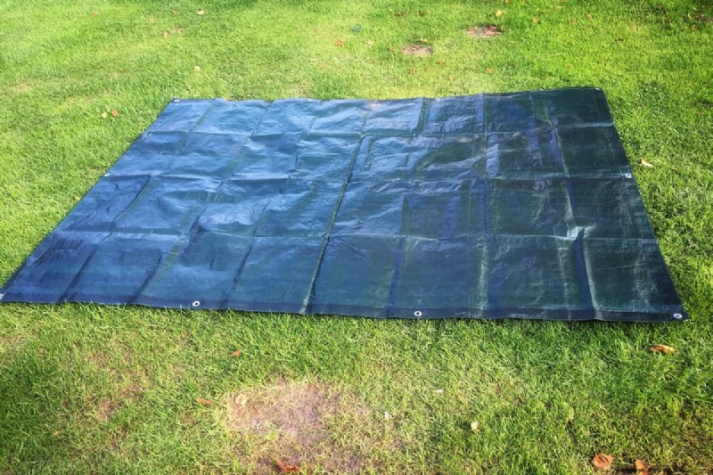Protect Your Lawn: Effective Methods for Removing Pine Needles