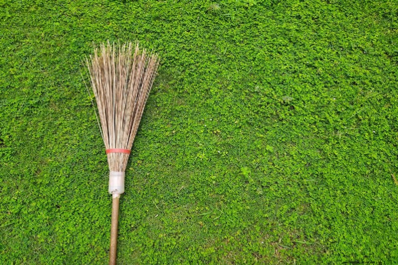 Protect Your Lawn: Effective Methods for Removing Pine Needles