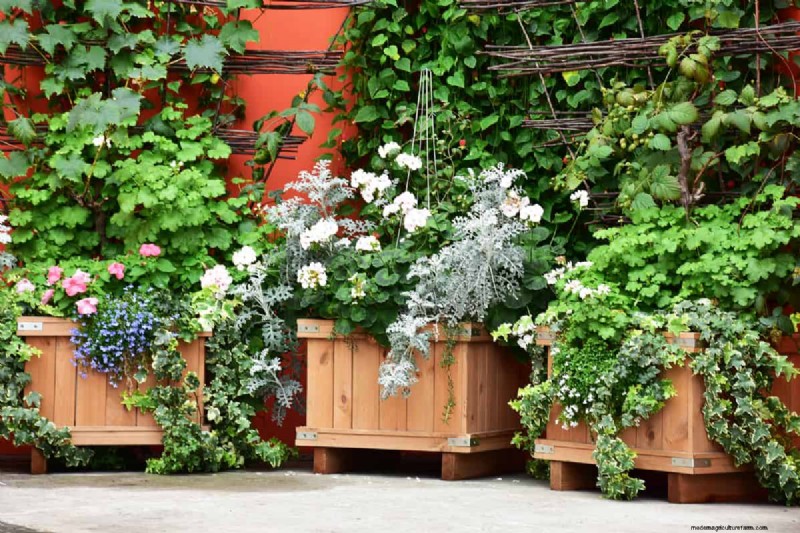 Waterproof Planters: DIY Guide & Best Methods for Garden Containers