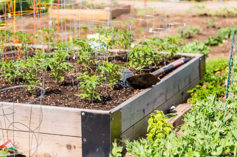 Waterproof Planters: DIY Guide & Best Methods for Garden Containers