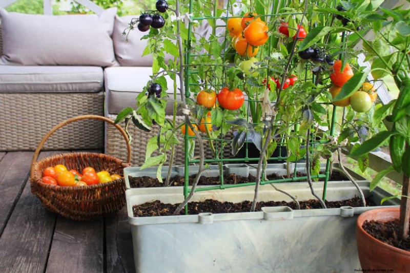 Waterproof Planters: DIY Guide & Best Methods for Garden Containers