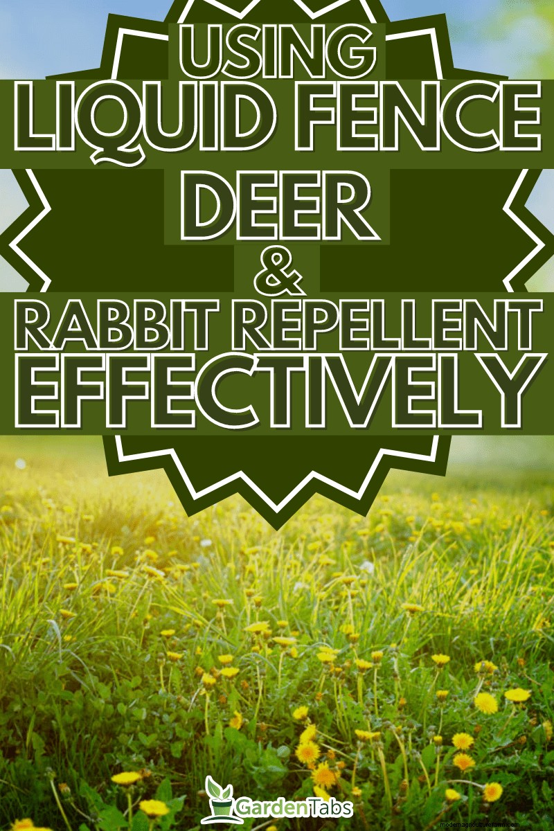 Liquid Fence Deer & Rabbit Repellent: A Comprehensive Guide