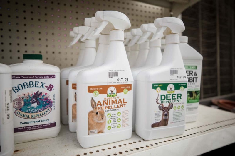 Liquid Fence Deer & Rabbit Repellent: A Comprehensive Guide