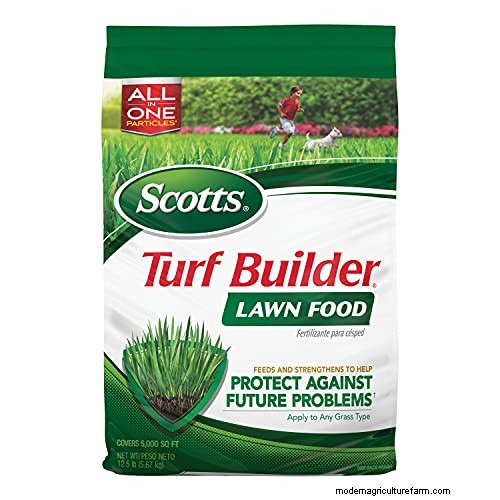 Protecting Maiden Grass in Winter: A Comprehensive Guide