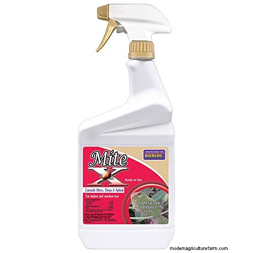 Protecting Maiden Grass in Winter: A Comprehensive Guide