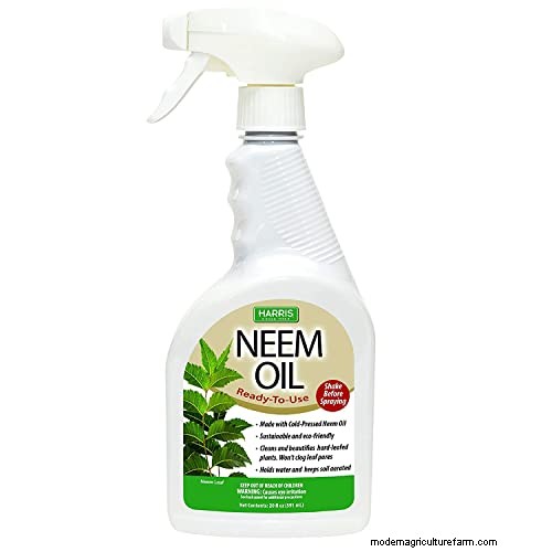 Protecting Maiden Grass in Winter: A Comprehensive Guide