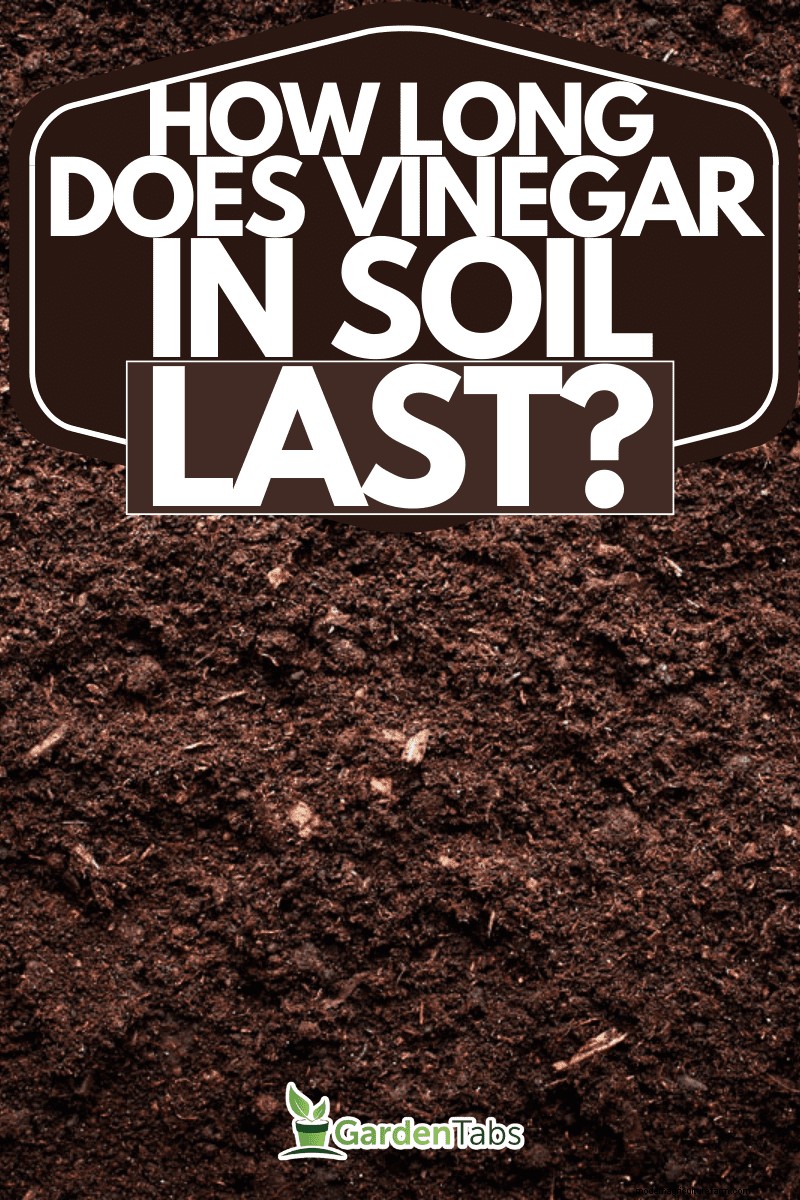 Vinegar and Soil: Effects, Duration & Safe Gardening Practices