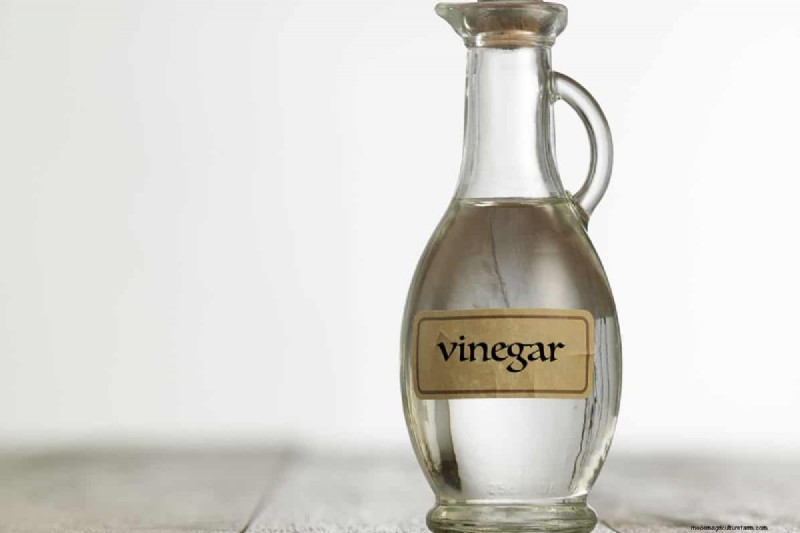 Vinegar and Soil: Effects, Duration & Safe Gardening Practices