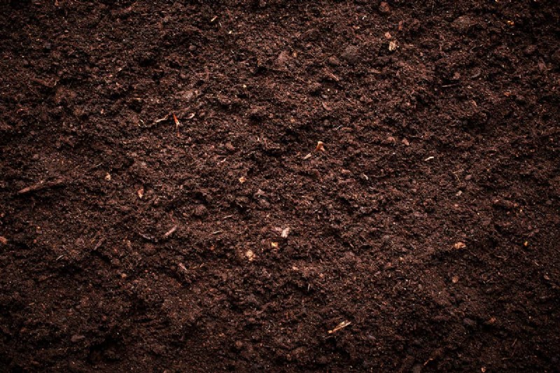 Vinegar and Soil: Effects, Duration & Safe Gardening Practices