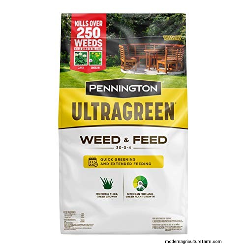 Optimal Timing for Weed & Feed Application: A Homeowner s Guide