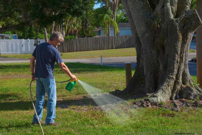 Optimal Timing for Weed & Feed Application: A Homeowner s Guide
