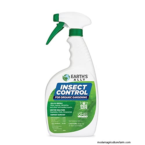 Thrips Spread: How to Prevent Infestations and Protect Your Plants