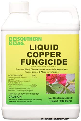 Pear Rust Fungus Treatment: Protect Your Pear Trees
